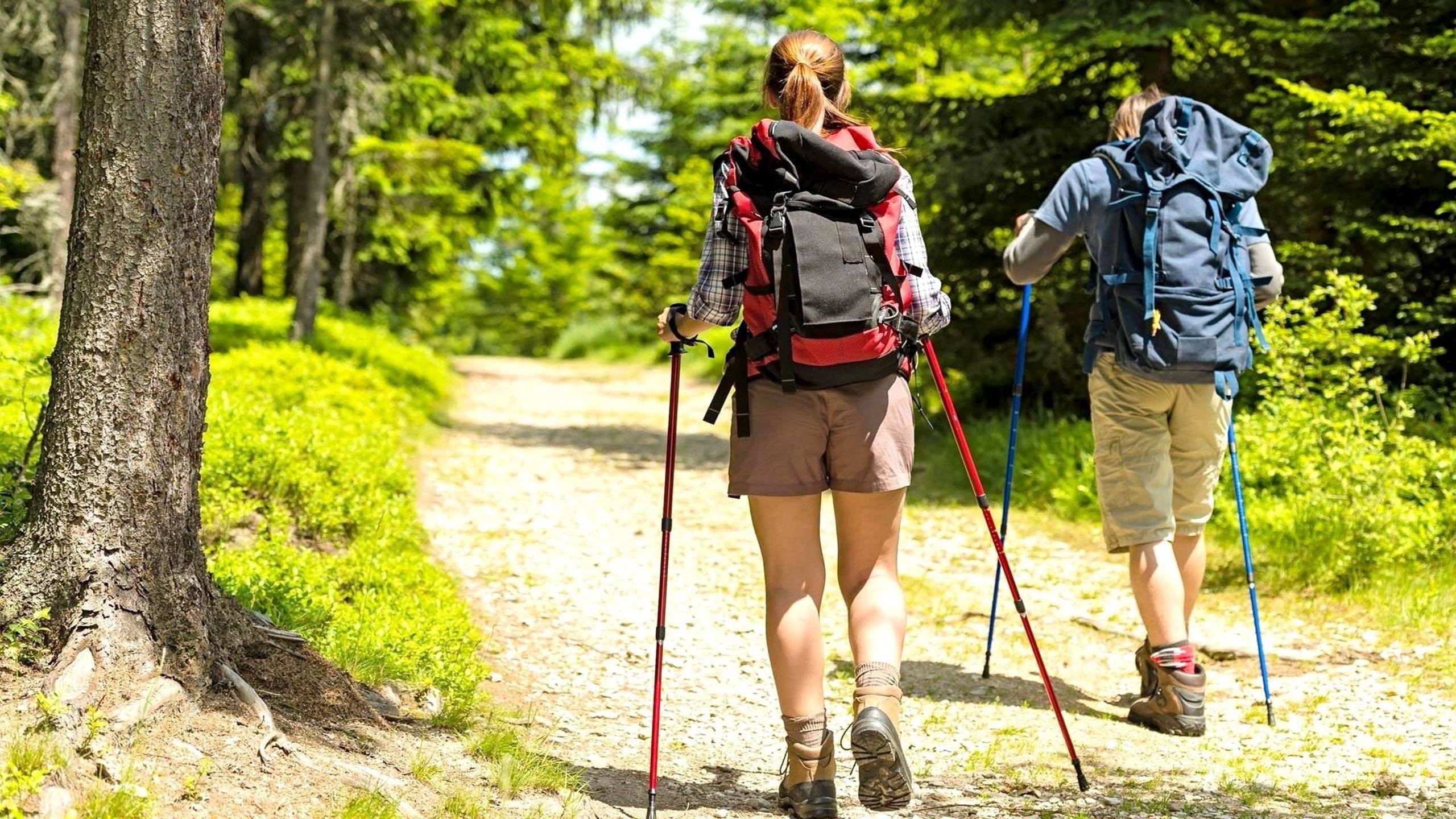 <b> Trekking </b> <br> Tour Guidati - Hotel Castel Vecchio